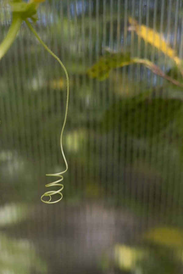 How to Design a Dementia-Friendly Home Environment for Aging Relatives?